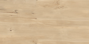 Керамогранит Buono Ceramica Forest Sweet Home Matt арт. FVL4511M (60x120) матовый